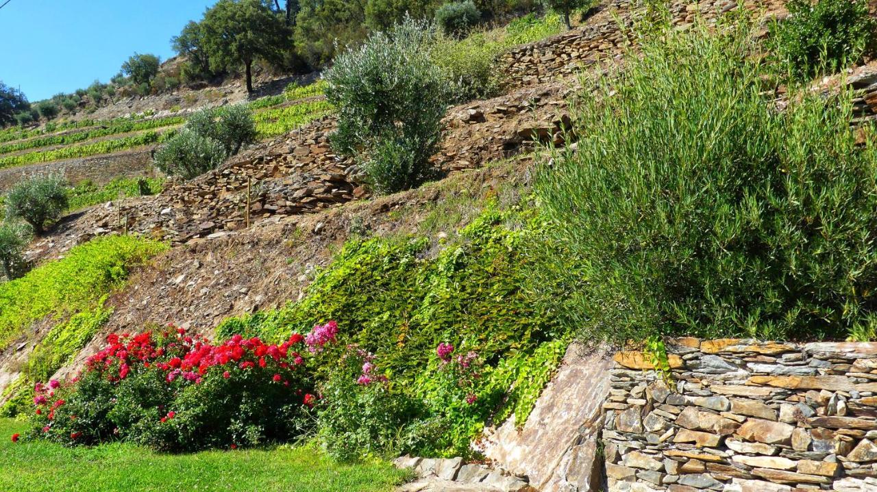 Country House Quinta Da Salgueira Alijó Kültér fotó