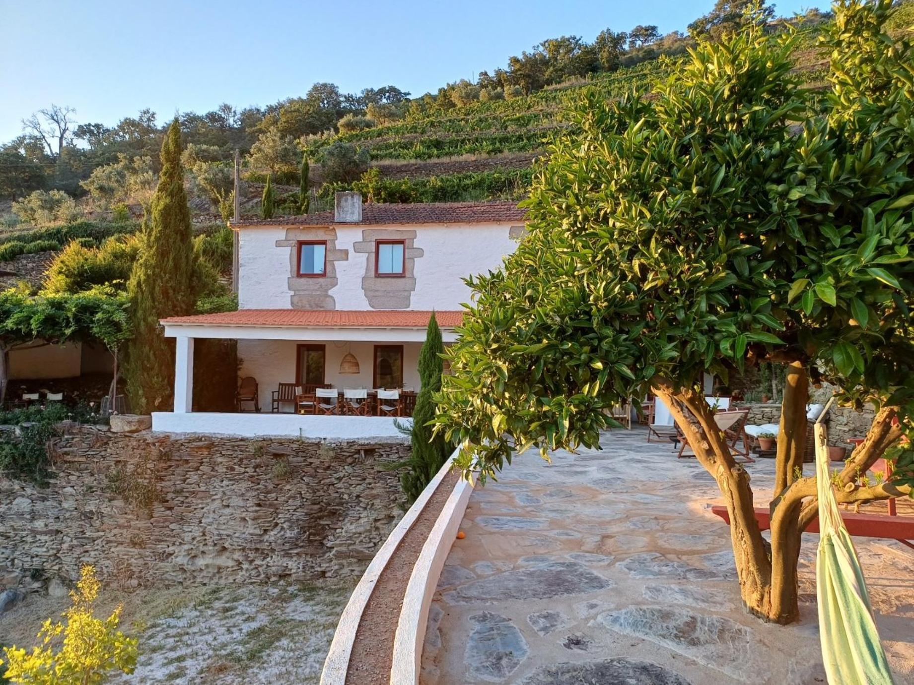 Country House Quinta Da Salgueira Alijó Kültér fotó