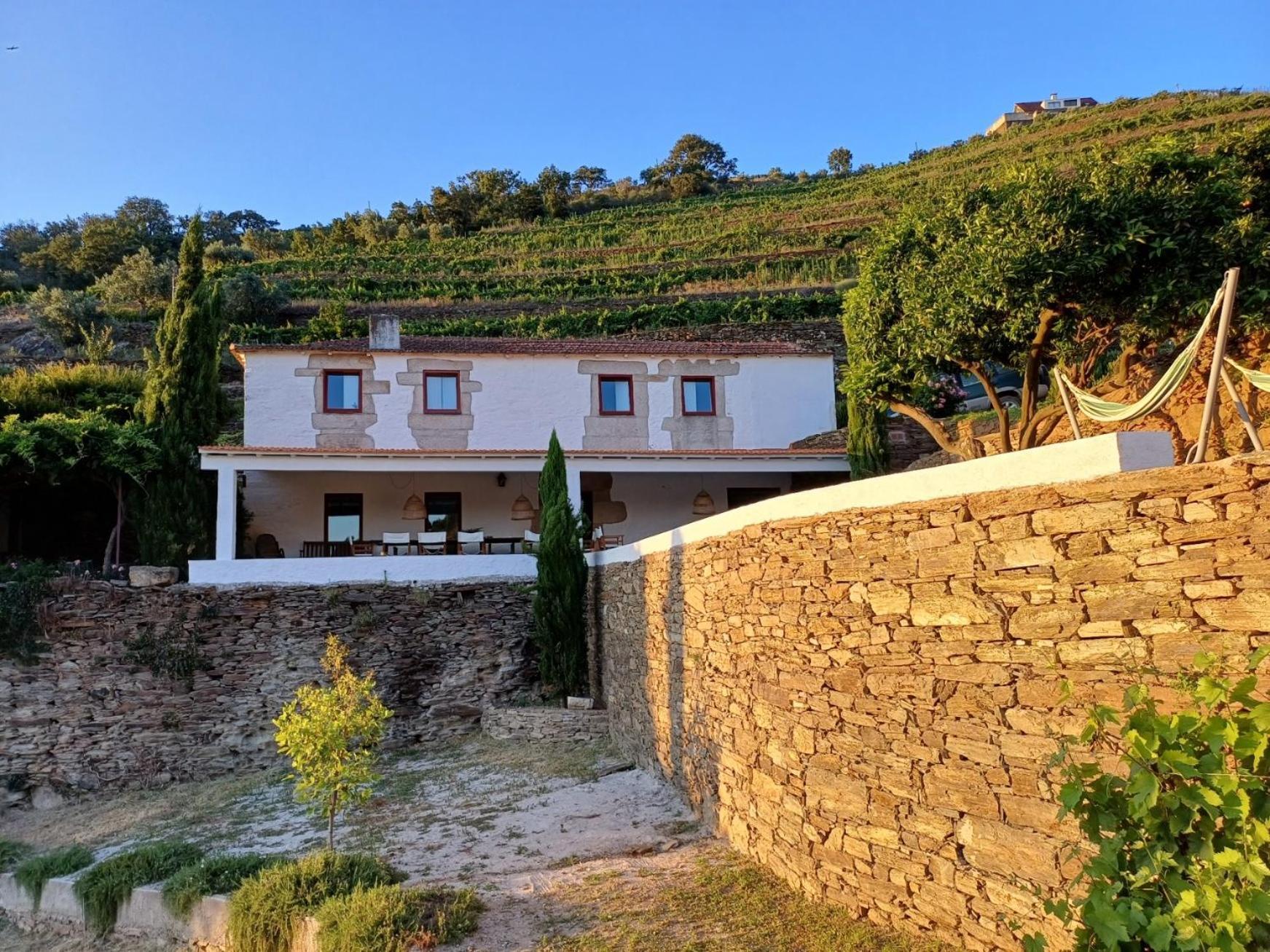 Country House Quinta Da Salgueira Alijó Szoba fotó