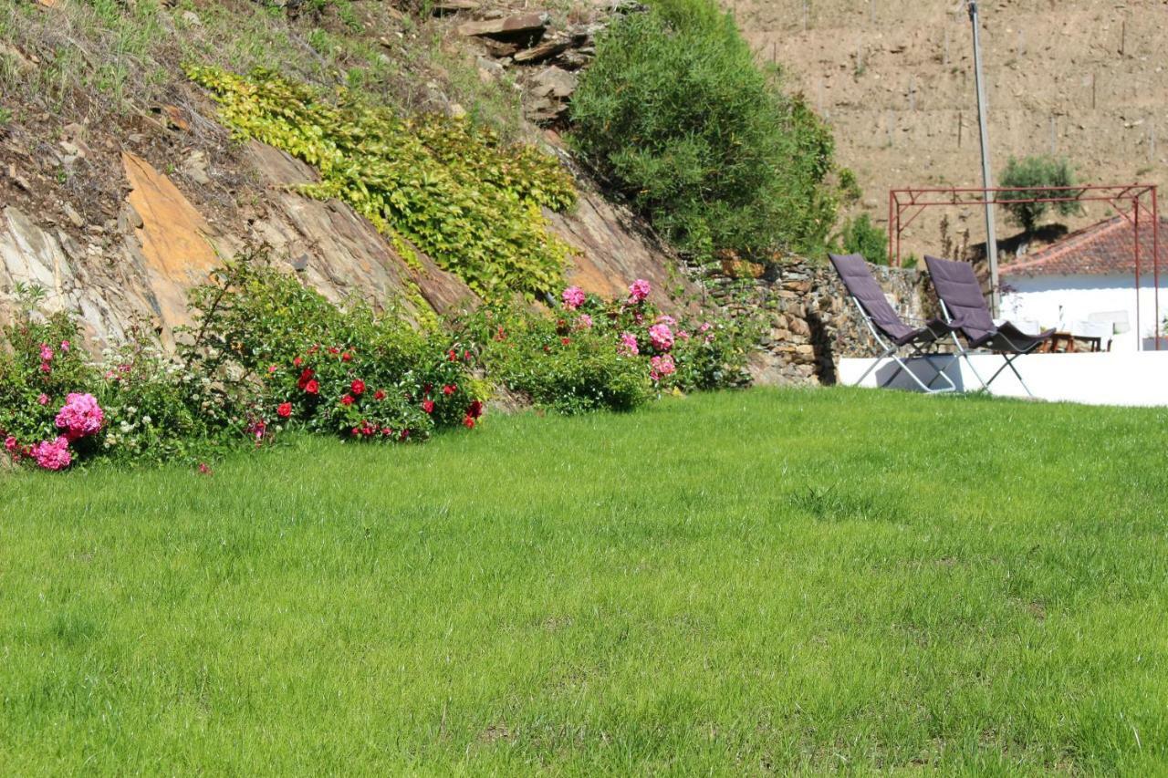 Country House Quinta Da Salgueira Alijó Kültér fotó